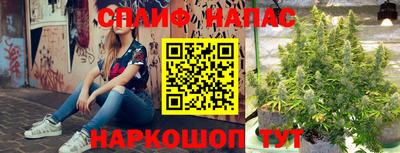 a pvp Бердск