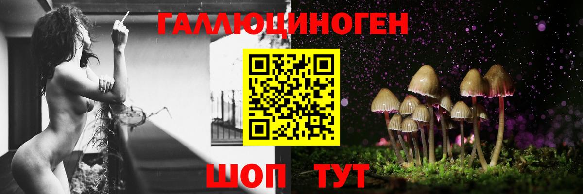 Псилоцибиновые грибы Magic Shrooms  Вход с VPN  Елизово  Псилоцибиновые грибы Psilocybe 